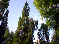 Exklusiv Byggservice
